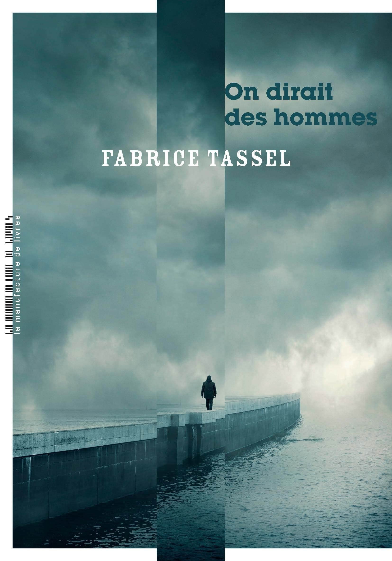 Fabrice Tassel – On dirait des hommes