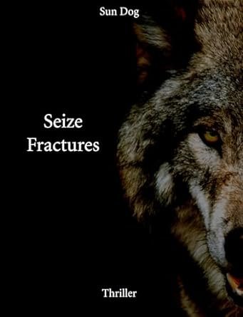 Sun Dog - Seize fractures