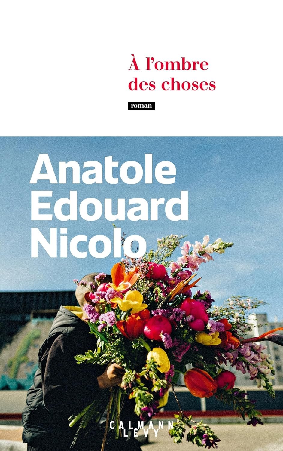 Anatole Edouard Nicolo - À l'ombre des choses