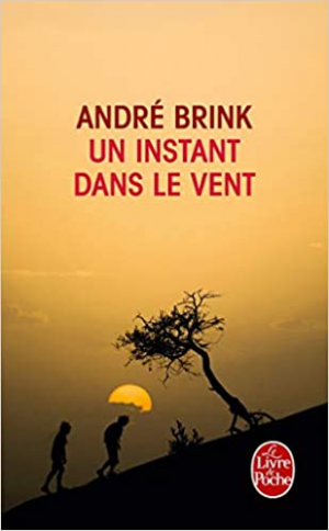 André Brink – Un instant dans le vent
