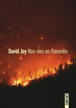 David Joy – Nos vies en flammes