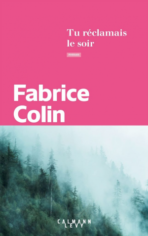 Fabrice Colin – Tu réclamais le soir