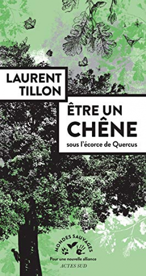 Laurent Tillon – Être un chêne : Sous l’écorce de Quercus