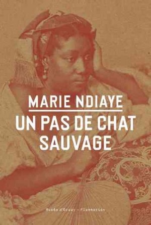 Marie NDiaye — Un pas de chat sauvage
