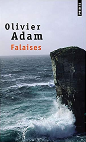 Olivier Adam – Falaises