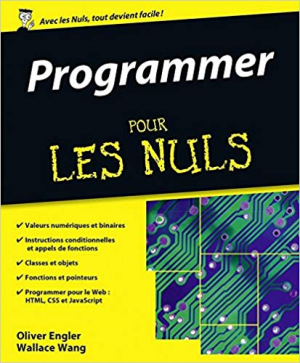 Programmer Pour Les Nuls